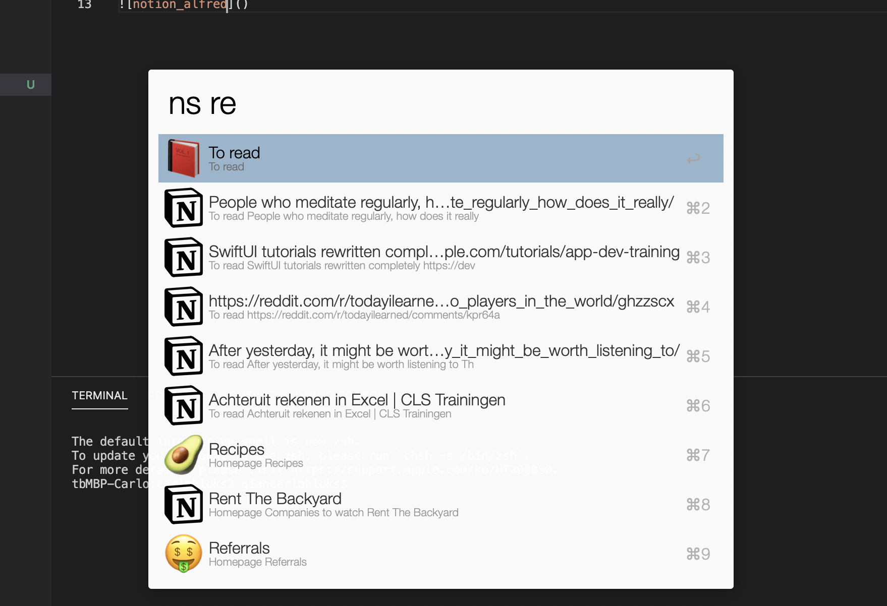 notion_alfred